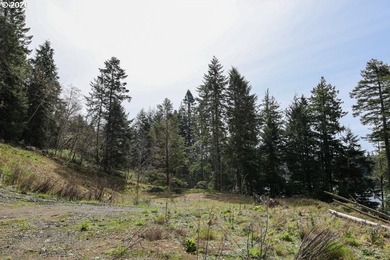 Two tax lots offering excellent potential with substantial - photo 15
