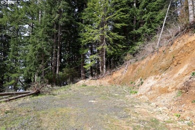 Two tax lots offering excellent potential with substantial - photo 16