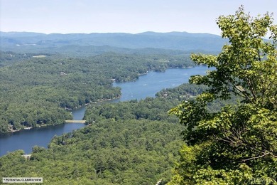 Captivating long-range views of the Blue Ridge Mountains await! - photo 18