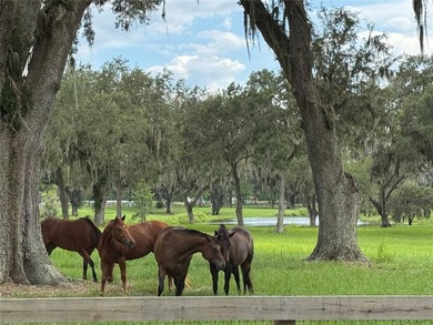 This 61 + acre farm features one of the most beautiful - photo 18