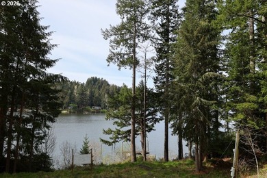 Two tax lots offering excellent potential with substantial - photo 18