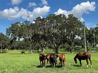 This 61 + acre farm features one of the most beautiful - photo 19