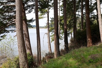 Two tax lots offering excellent potential with substantial - photo 22