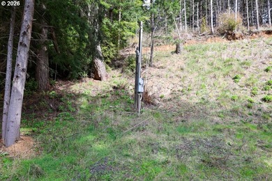 Two tax lots offering excellent potential with substantial - photo 24