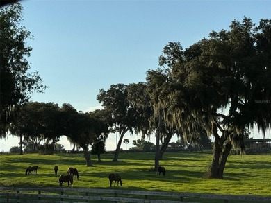 This 61 + acre farm features one of the most beautiful - photo 25