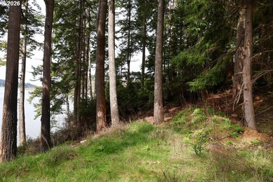 Two tax lots offering excellent potential with substantial - photo 25