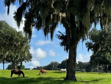 This 61 + acre farm features one of the most beautiful - photo 26