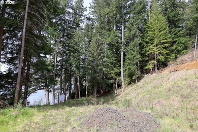 Two tax lots offering excellent potential with substantial - photo 26