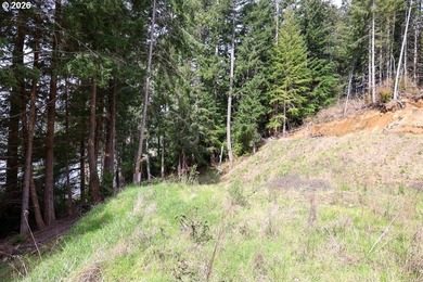 Two tax lots offering excellent potential with substantial - photo 28