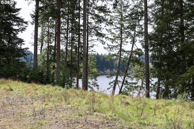 Two tax lots offering excellent potential with substantial - photo 29