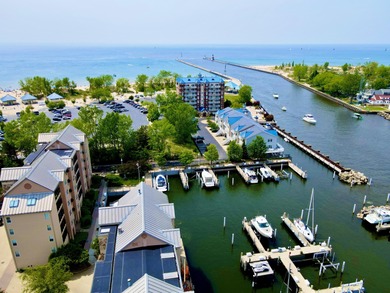 Lake Michigan - Berrien County Condo For Sale in Saint Joseph Michigan