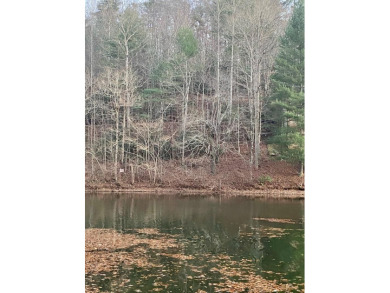 Lake Lot For Sale in Robbinsville, North Carolina