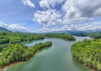 Secluded on Fontana Lake, this modern-mountain, custom-built - photo 2