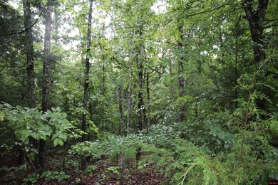 20.55 acres lying along a well-maintained county road with few - photo 11