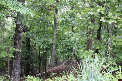 20.55 acres lying along a well-maintained county road with few - photo 13