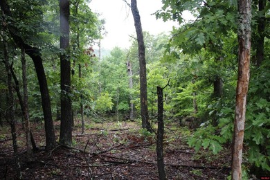 20.55 acres lying along a well-maintained county road with few - photo 18