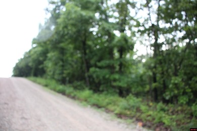 20.55 acres lying along a well-maintained county road with few - photo 20