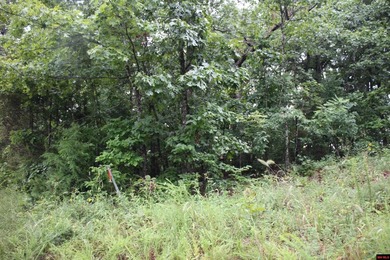 20.55 acres lying along a well-maintained county road with few - photo 22