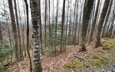 Lake Chatuge Lot For Sale in Hiawassee Georgia