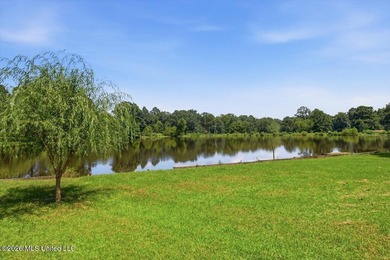 Welcome to 238 Kiowa Drive, Madison, MS-a beautiful 4-bedroom - photo 47