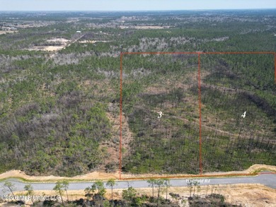 10.5 Acres. With a creek/Bayou on the east end of the property - photo 1
