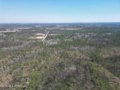 10.5 Acres. With a creek/Bayou on the east end of the property - photo 3
