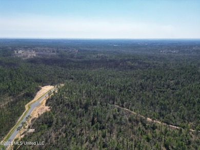 10.5 Acres. With a creek/Bayou on the east end of the property - photo 4