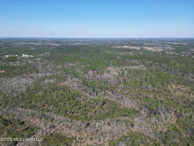 10.5 Acres. With a creek/Bayou on the east end of the property - photo 5