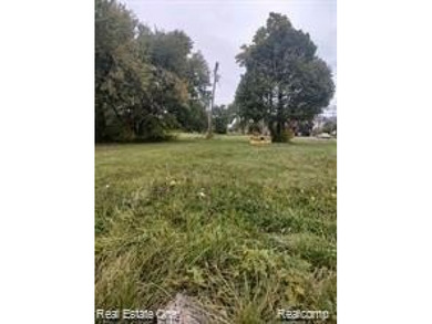 Lake Saint Clair Lot For Sale in Detroit Michigan