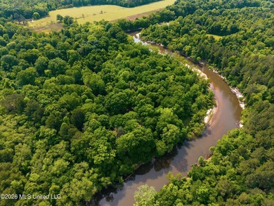 Escape to your own private retreat on beautiful Tallahala Creek - photo 2
