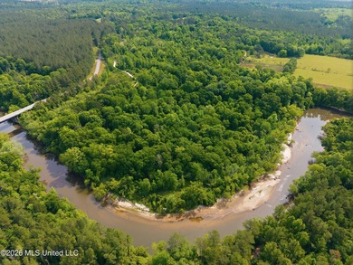 Escape to your own private retreat on beautiful Tallahala Creek - photo 3