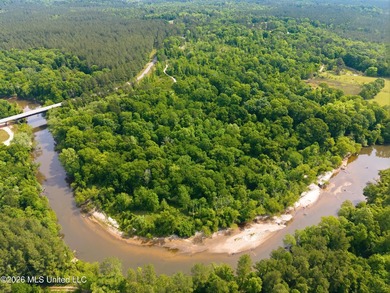 Escape to your own private retreat on beautiful Tallahala Creek - photo 4