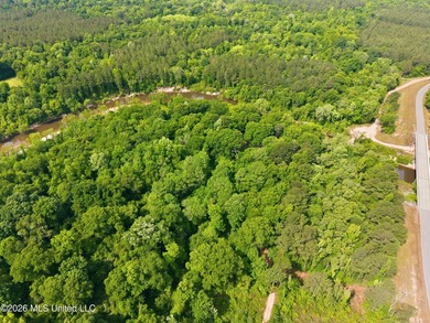 Escape to your own private retreat on beautiful Tallahala Creek - photo 6