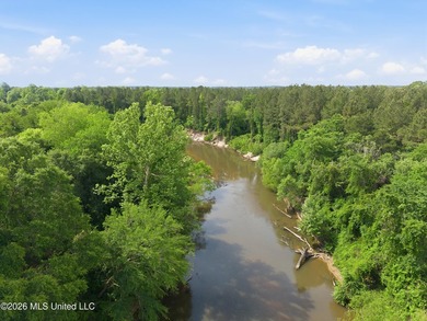 Escape to your own private retreat on beautiful Tallahala Creek - photo 7