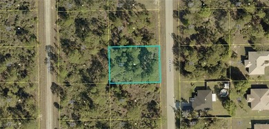 Lehigh Acres Area Lot For Sale in Lehigh Acres Florida