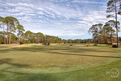 Tucked away on a quiet cul-de-sac in The Landings on Skidaway - photo 49