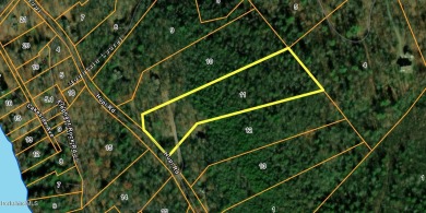 Lake Acreage For Sale in Monterey, Massachusetts