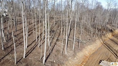 Nolin Lake Lot For Sale in Clarkson Kentucky