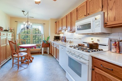 Beautifully updated and move-in ready condo in the desirable - photo 9