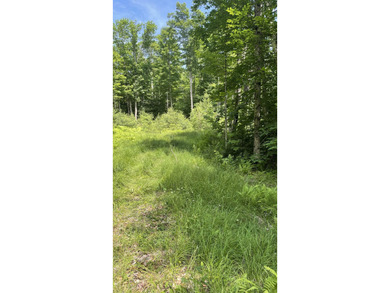 (private lake, pond, creek) Lot For Sale in Bethlehem New Hampshire