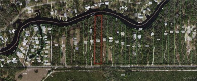 Withlacoochee River Acreage For Sale in Inglis Florida