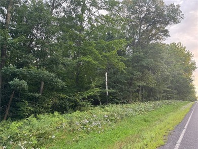 Introducing 13.07 wooded acres located west of Spooner in a - photo 11