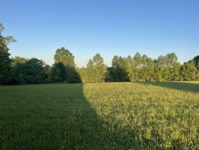 ATTENTION DEVELOPERS! 17 Lots Close to Lake Cumberland Marina - photo 12