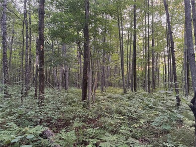 Introducing 13.07 wooded acres located west of Spooner in a - photo 12