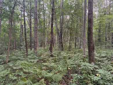 Introducing 13.07 wooded acres located west of Spooner in a - photo 13