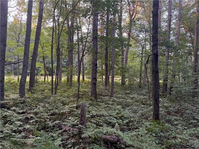 Introducing 13.07 wooded acres located west of Spooner in a - photo 14
