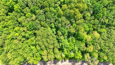 Introducing 13.07 wooded acres located west of Spooner in a - photo 15
