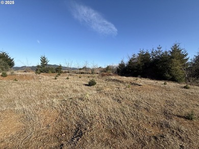 Don't miss this opportunjity. Vacant Lot with Spectacular Ocean - photo 4