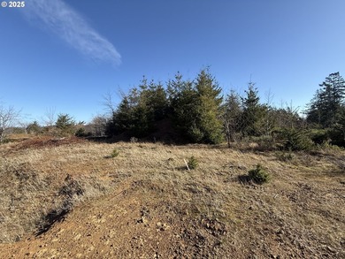 Don't miss this opportunjity. Vacant Lot with Spectacular Ocean - photo 5