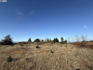Don't miss this opportunjity. Vacant Lot with Spectacular Ocean - photo 7